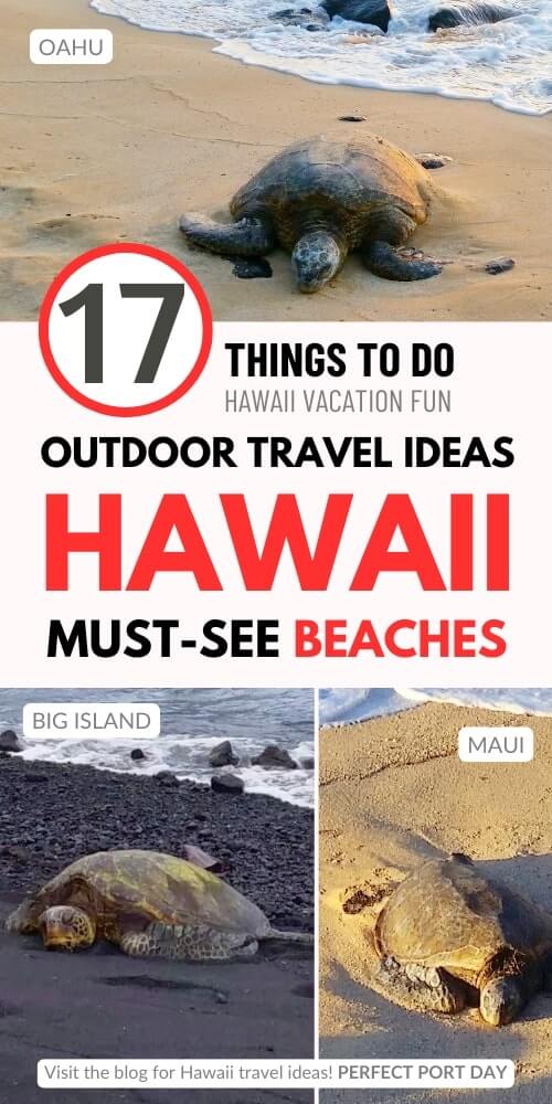 best hawaii beaches to see turtles. which hawaiian islands