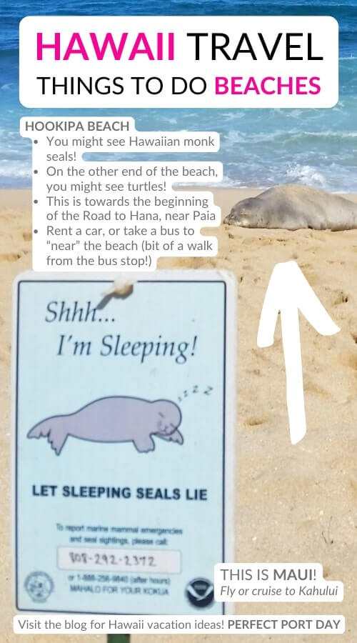 hookipa beach seals. best hawaii beaches to see seals in maui