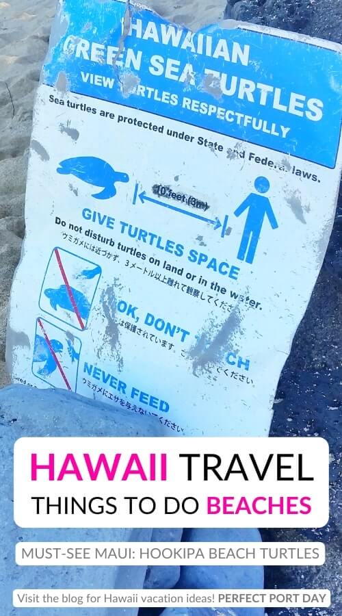 hookipa beach turtle watching. where to see turtles on the beach in hawaii