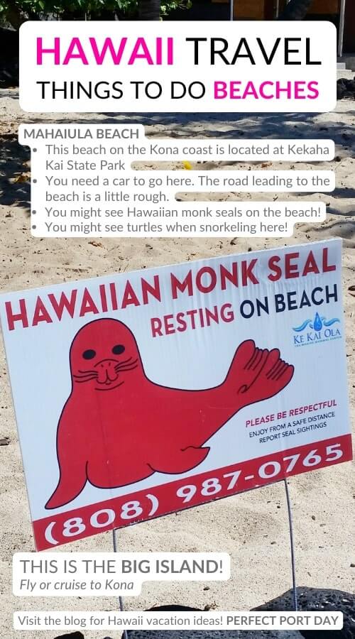 mahaiula beach seals. best hawaii beaches to see seals on the big island