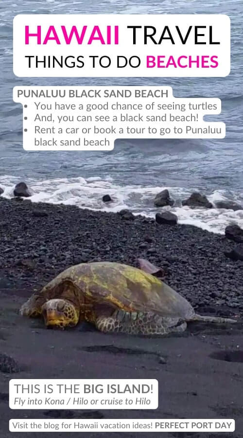punaluu black sand beach turtles. best hawaii beaches to see turtles on the big island