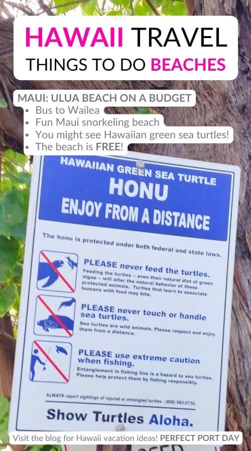ulua beach turtles. best hawaii beaches to see turtles in maui
